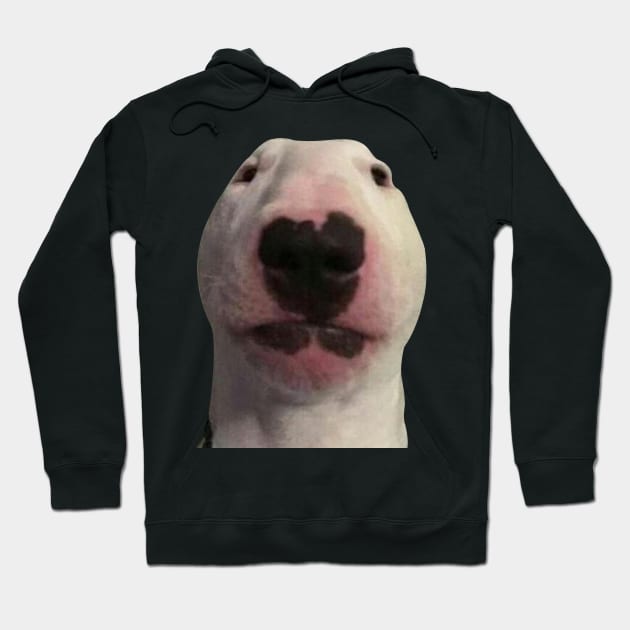 Staring Forward Dog Meme Hoodie by artsylab